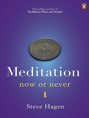 cover image of Meditation Now or Never